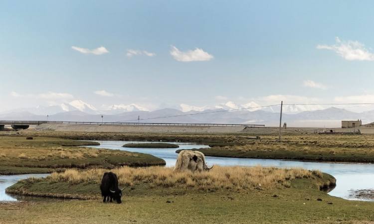 10 days Mt Kailash Tour via Kerung border